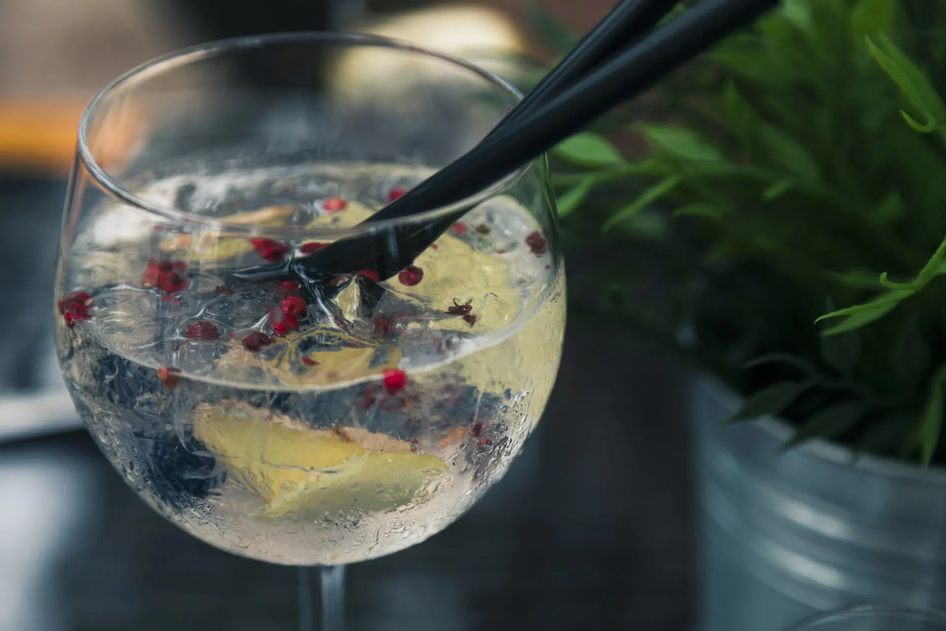 La gintoneria “ scegli il tuo gin e la tua tonica preferita”